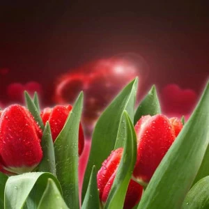 WP00059 Фотообои Verol Фотообои decoline 1х1 м