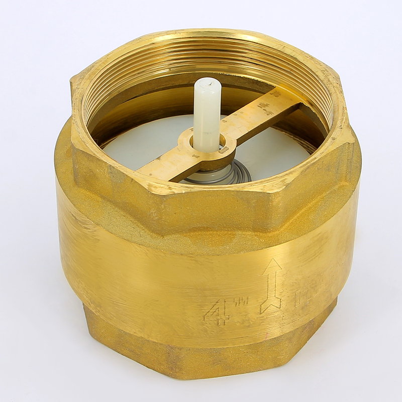 Клапан обратный пружинный EURA EXPORT с пластиковым затвором F.I.V. 4" FIV 08030400 - Вид №2