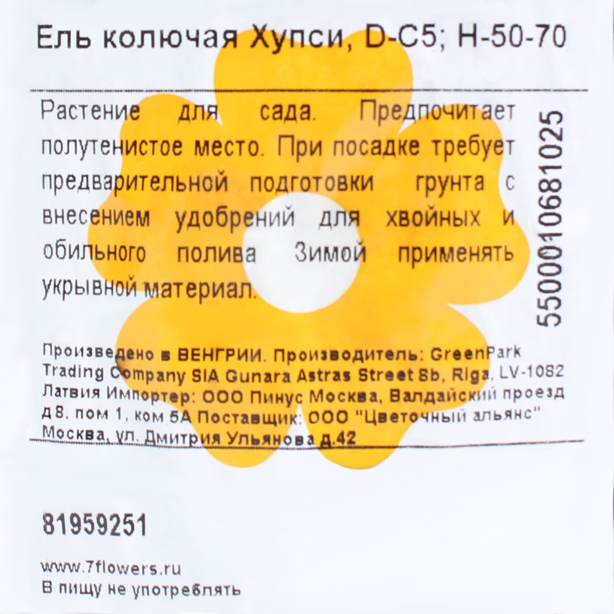 81959251 Ель колючая «Хупси» С5/50-70 Santreyd  - Вид №2