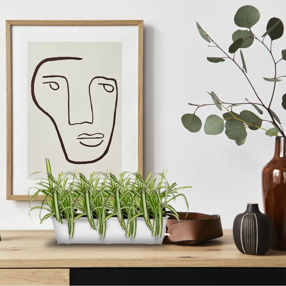 Santreyd Балконный ящик для цветов мраморный - стильное решение для озеленения 12973416 STLM-0002610 - Вид №5