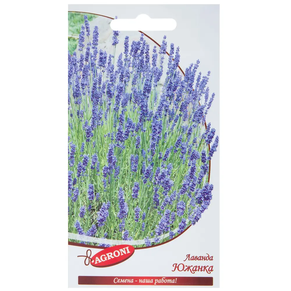 Семена цветов Лаванда Южанка синяя Agroni 17251383 STLM-2075266 