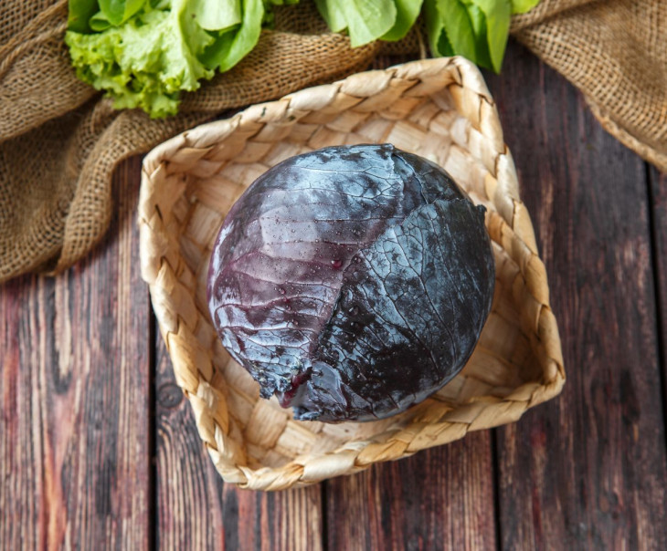 9557 Капуста Краснокочанная Вкусляндия 