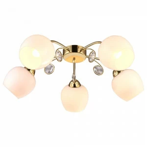 Потолочная люстра Arte Lamp Millo A9549PL-5GO ARTE LAMP MILLO 058598 Белый