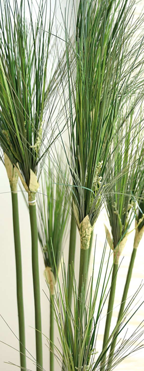 5722 883 a3 Пластиковая трость для бумаги, в горшке, 150 см, зеленая H-andreas  - Вид №2