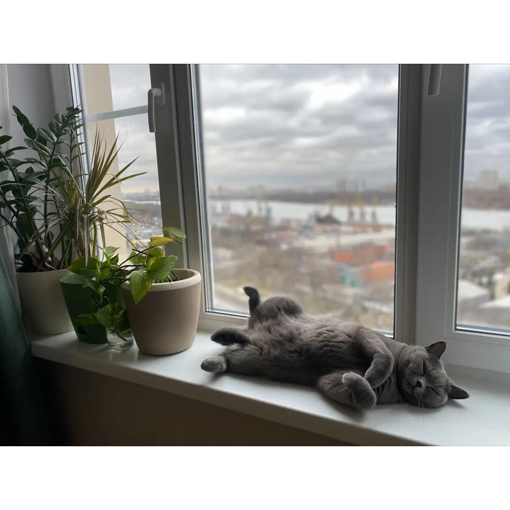 Горшок цветочный с автополивом Ingreen ø16 h18.6 см v2 л пластик бежевый 84659396 STLM-2039834 Munchen - Вид №6