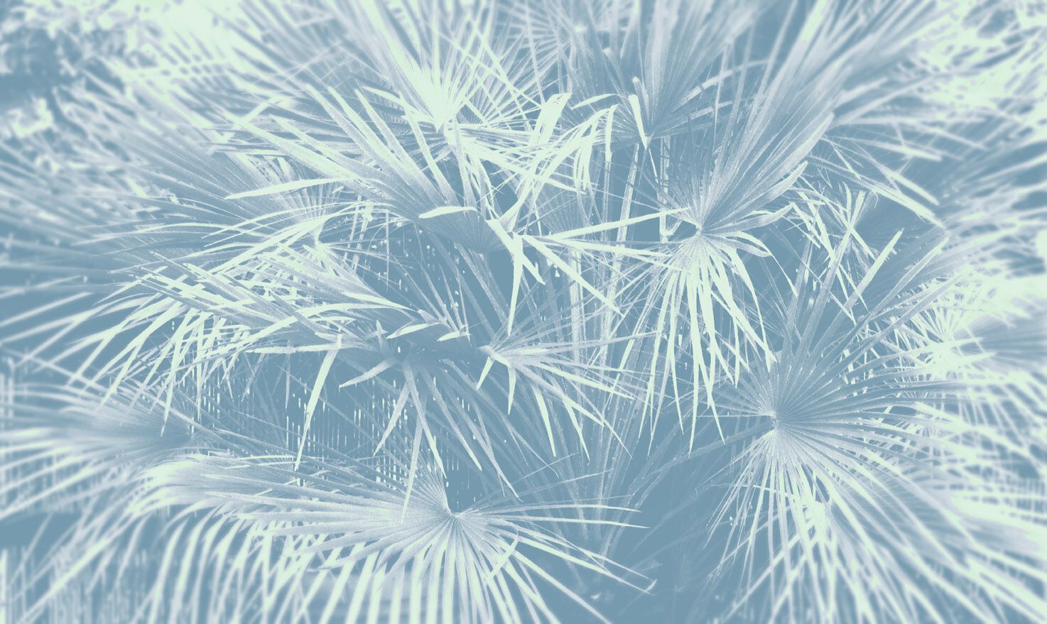 Обои с цветочными мотивами Jannelli&Volpi PALMETO ARCH-00034510 - Вид №2