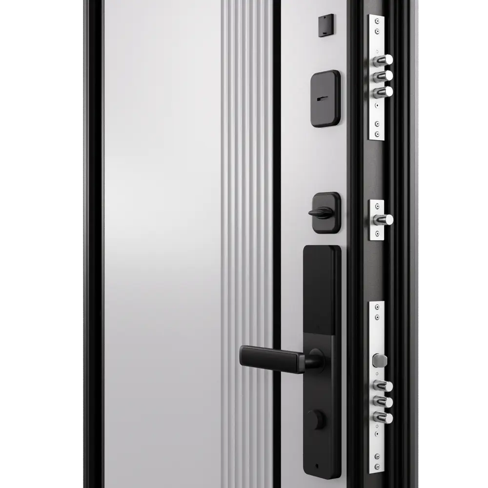 Входная дверь TOREX Протон Лайн Бьянко 860R 89437215 STLM-1579862 - Вид №5