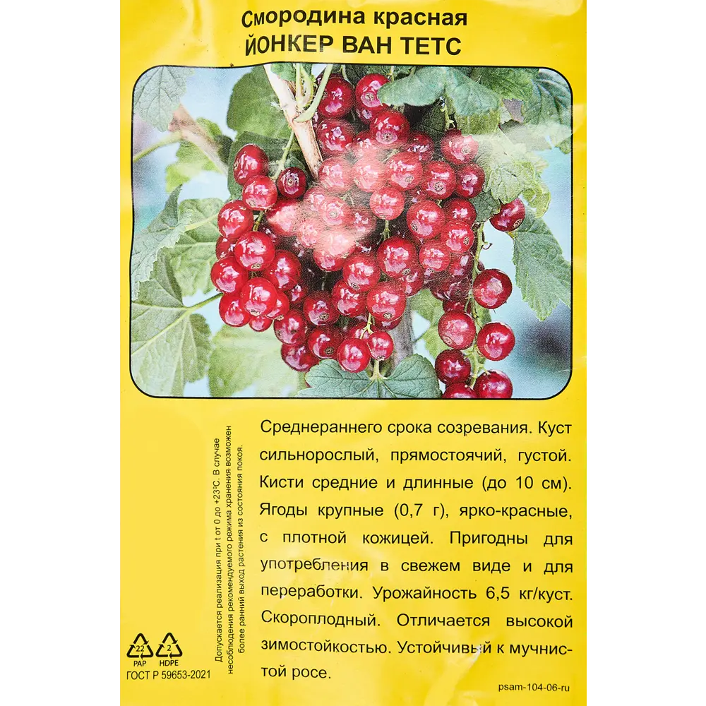 Смородина красная Йонкер Ван Тетс пакет h35 см 89353431 STLM-2127805 Santreyd  - Вид №4