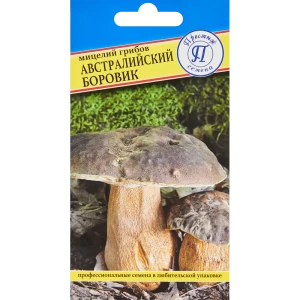 Мицелий грибов боровик Австралийский