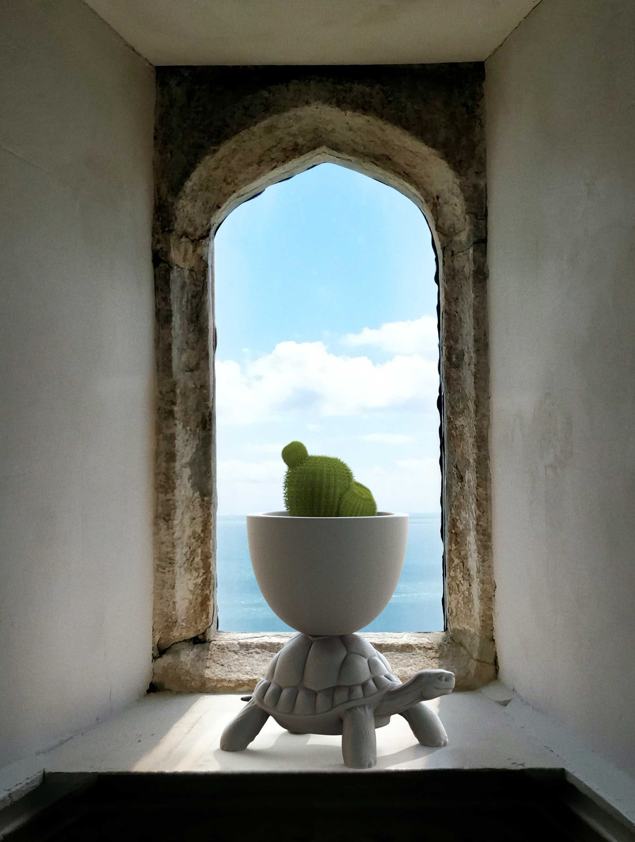 Полиэтиленовая банка Qeeboo Переноска для черепах ARCH-00055361 - Вид №4