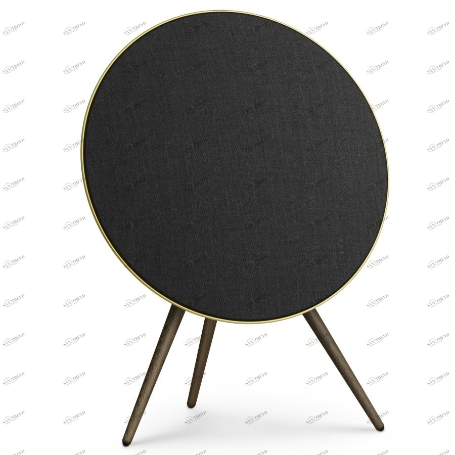Система акустическая BeoPlay A9, латунь/темный дуб Bang & Olufsen 1200394
