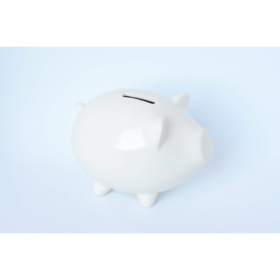 Сувенир «Свинка-копилка» ЭКОЧЕЛОВЕКИ PIG101 - Вид №3