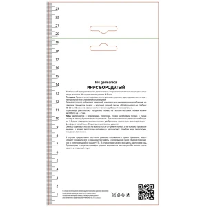 Ирис бородатый Джордж Спект 89452344 STLM-2114250