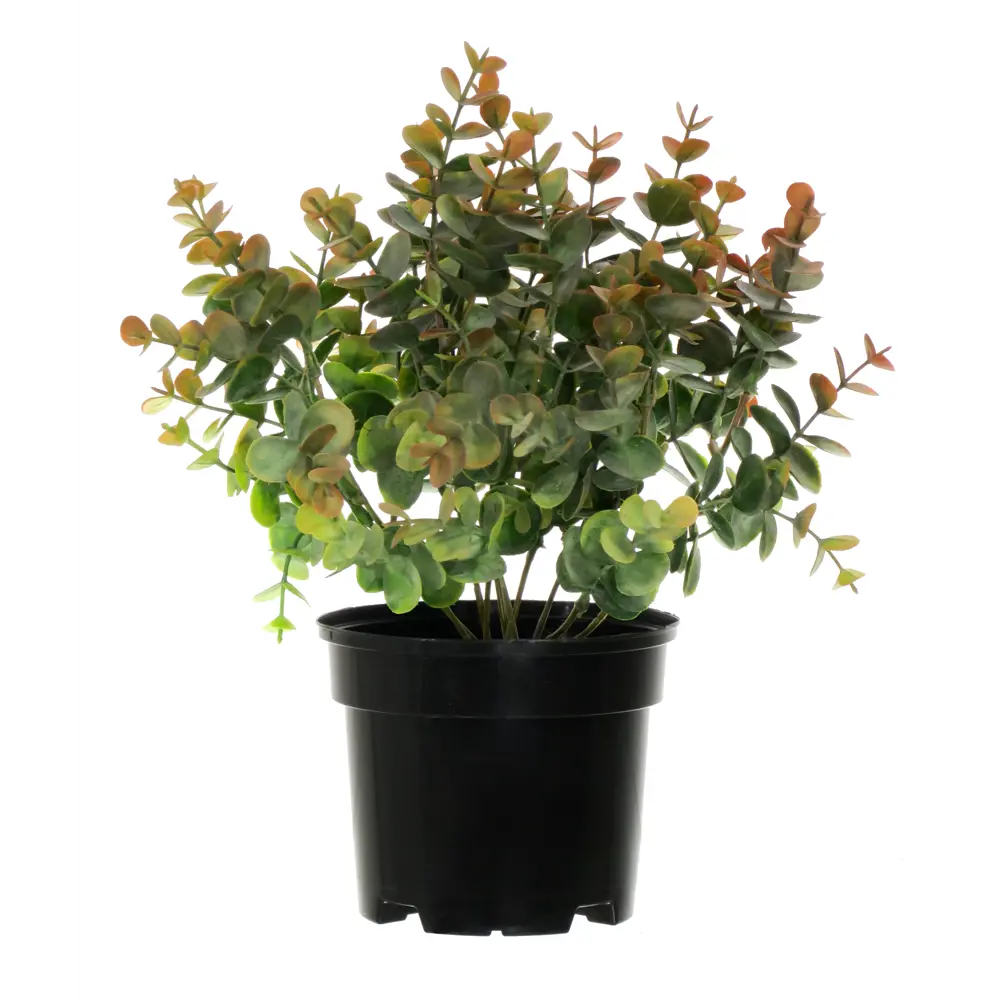 89356250 Искусственное растение в горшке эвкалипт h30 см цвет коричневый STLM-0961796 Santreyd 