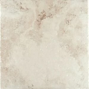 ARENA 60х60 BONE RECTIFIED MATT