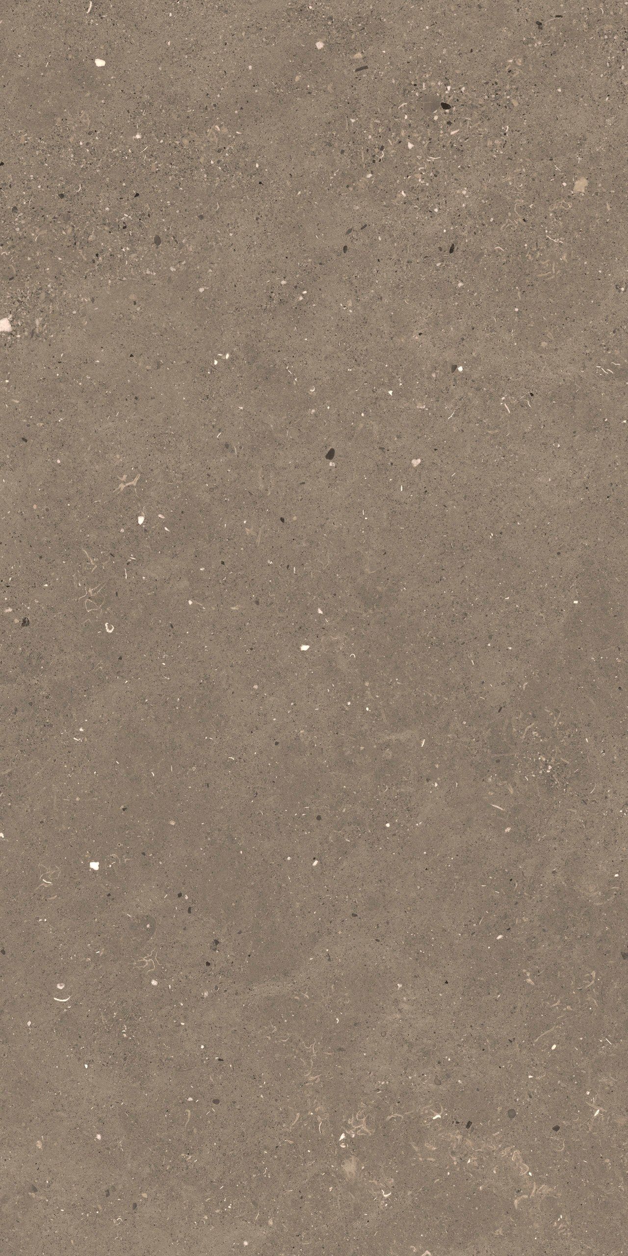 Пол / облицовка керамогранита с эффектом камня Fiandre сплошная ARCH-00006905 - Вид №7