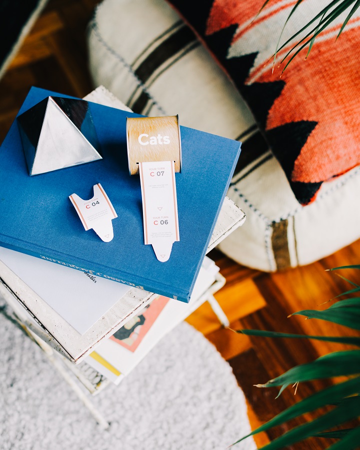 DYNEWCAEN Набор «Узнай что-то новое о кошках» Doiy  - Вид №1