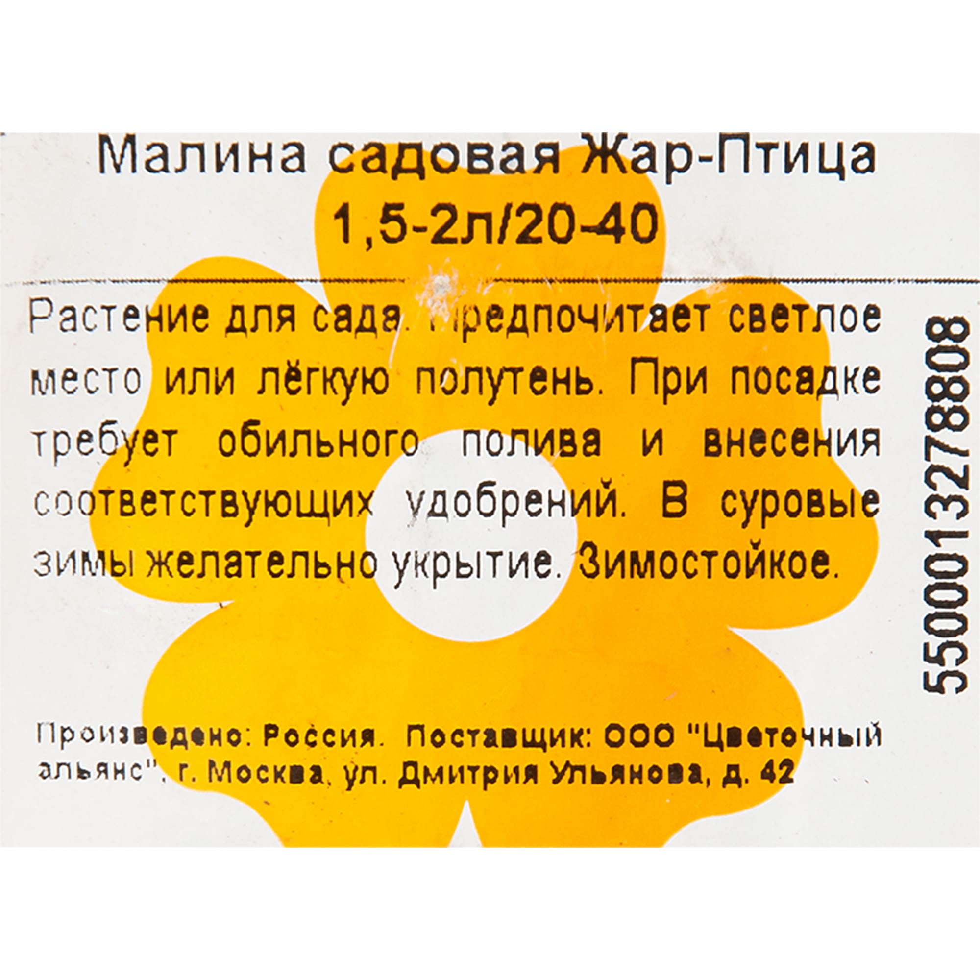 82601698 Малина садовая «Жар-птица» 1.5-2 л высота 20-40 см Santreyd  - Вид №1