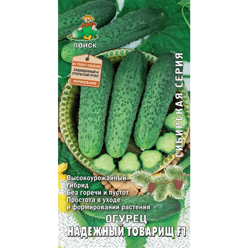 Семена огурца ПОИСК «Надежный товарищ» F1 - ранний партенокарпический гибрид 83123520 STLM-1529386