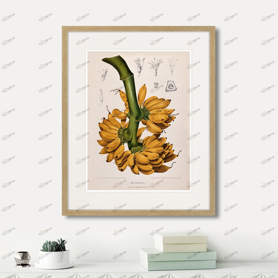 Картина в раме 52х42 см Exotic plants of the world №9, 1815г. КАРТИНЫ В КВАРТИРУ  264352 Желтый;зеленый;разноцветный 