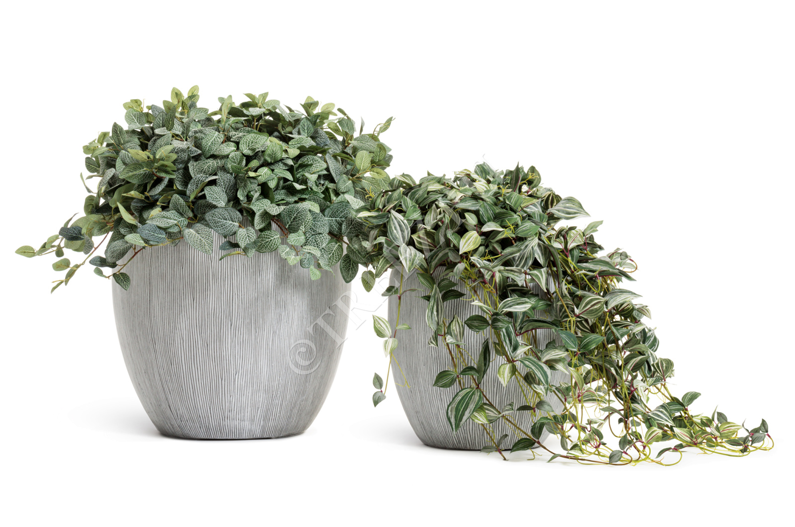 41.3320-06-044-IVR-49 Кашпо  Effectory - серия Wow - Конус-Чаша - Слоновая кость Цветочная коллекция  - Вид №4