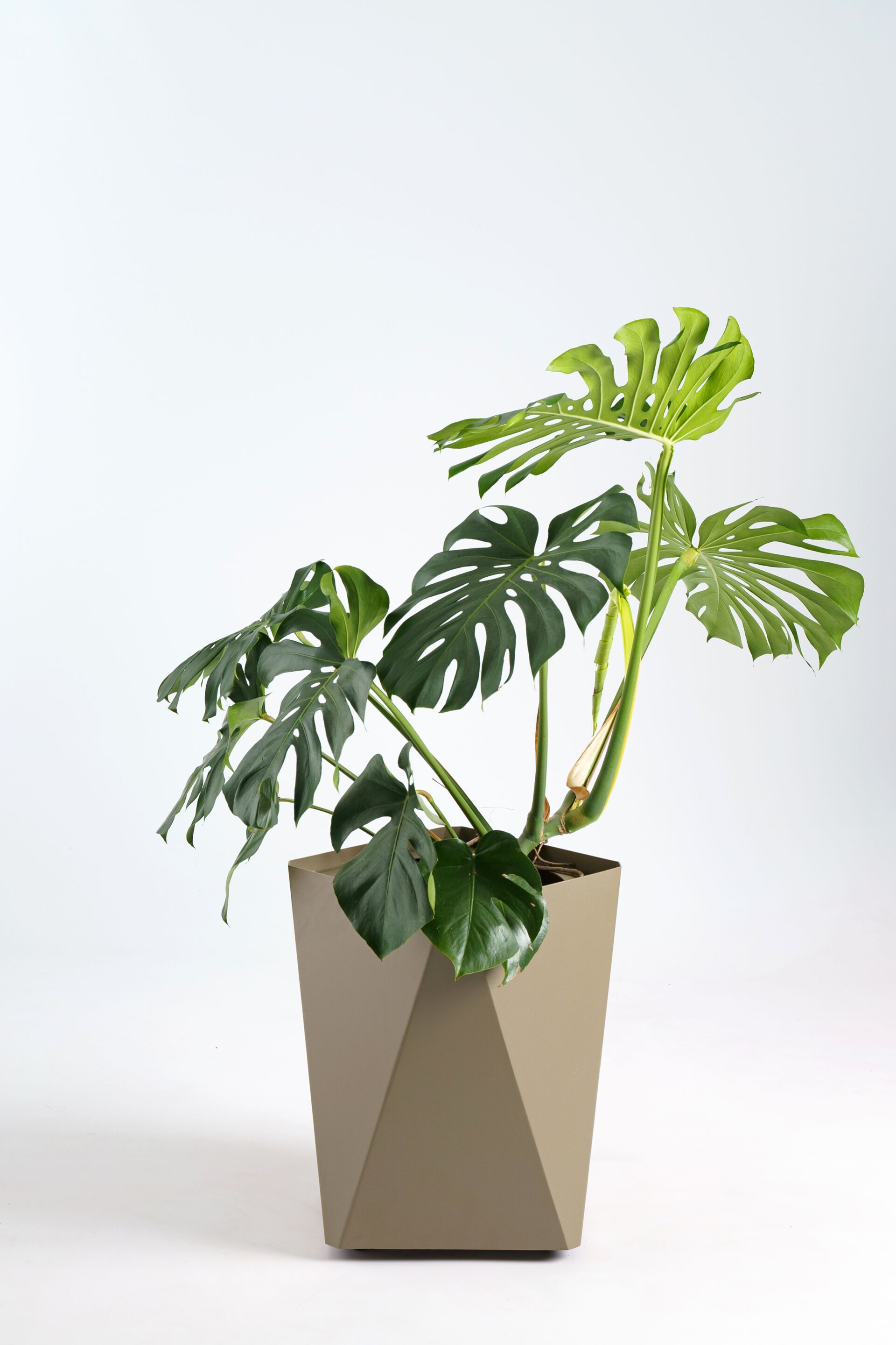 Садовый горшок Garda Furniture KINO ARCH-00086314 - Вид №5