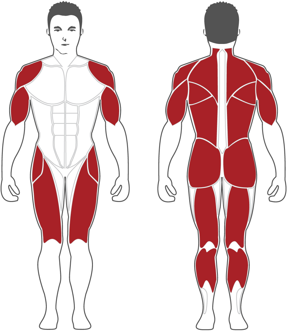 PL2300 Steel flex pl2300 икроножные стоя/станок для выпадов Steel Flex