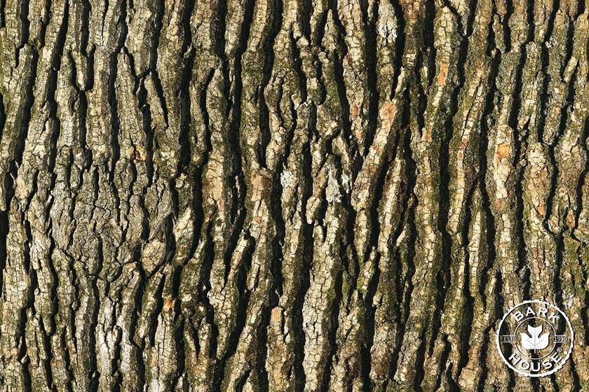 Freund GmbH Обивка из коры тополя Nature sun-id-1388912 - Вид №12