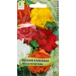 89346582 Семена цветов Поиск бегония клубневая Лето в петергофе 15 шт. STLM-0951305