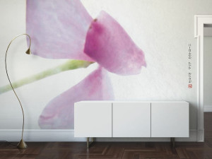 Виниловые или стекловолоконные обои