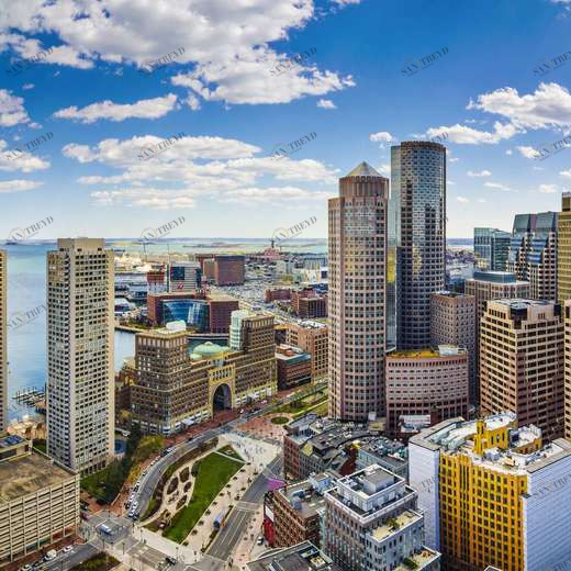 WP00396 Фотообои Verol Фотообои decoline 1х1 м