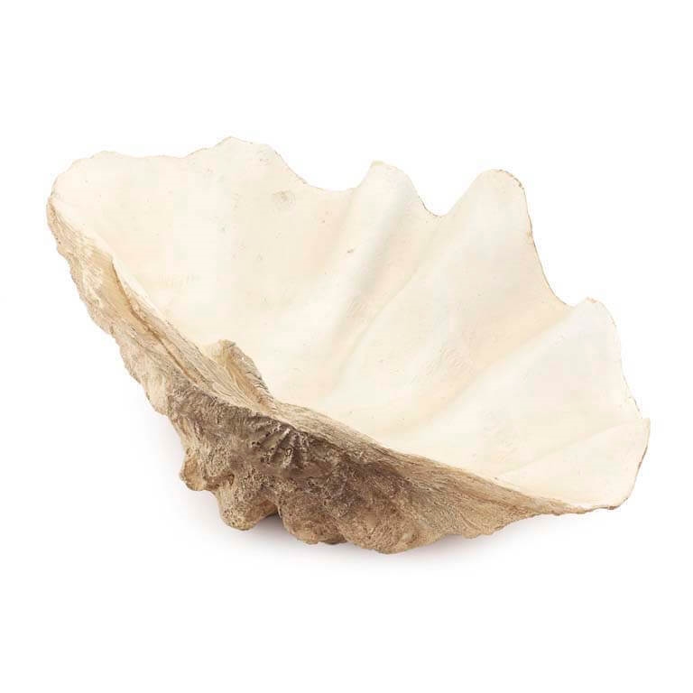 600601-00 ABHIKA TRIDACNA MED NATURAL 