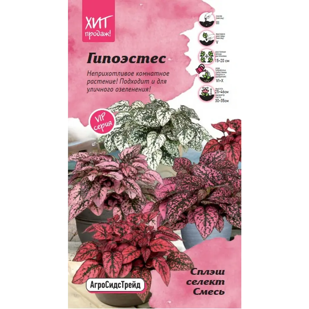 Семена цветов Агросидстрейд гипоэстес Сплэш селект микс 5 шт STLM-2031144