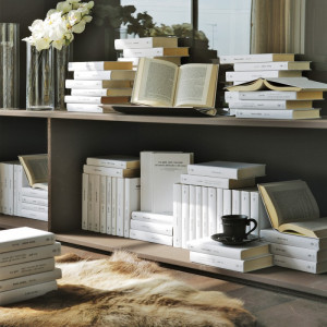 A49X120 Набор из 50 настоящих книг Adriani e Rossi белый