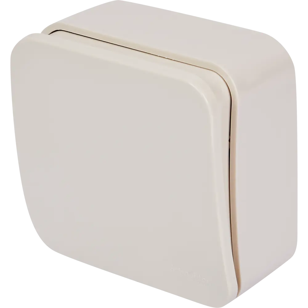 Выключатель накладной Schneider Electric Blanca 10 А 1 клавиша цвет бежевый 86724486 STLM-2161145 SYSTEME ELECTRIC