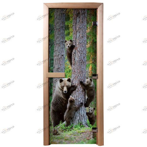 DoorWood Дверь с фотопечатью А064 5548