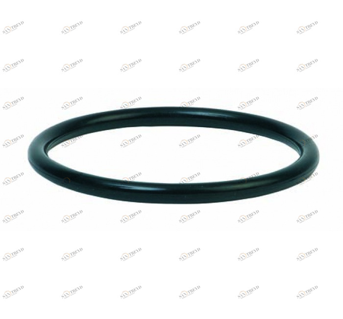 GENEBRE 0061 04 O’ring 