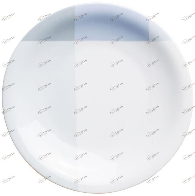 323460A50608C Обновление плоской пластины 21,5 см шелк Kahla-porzellan 