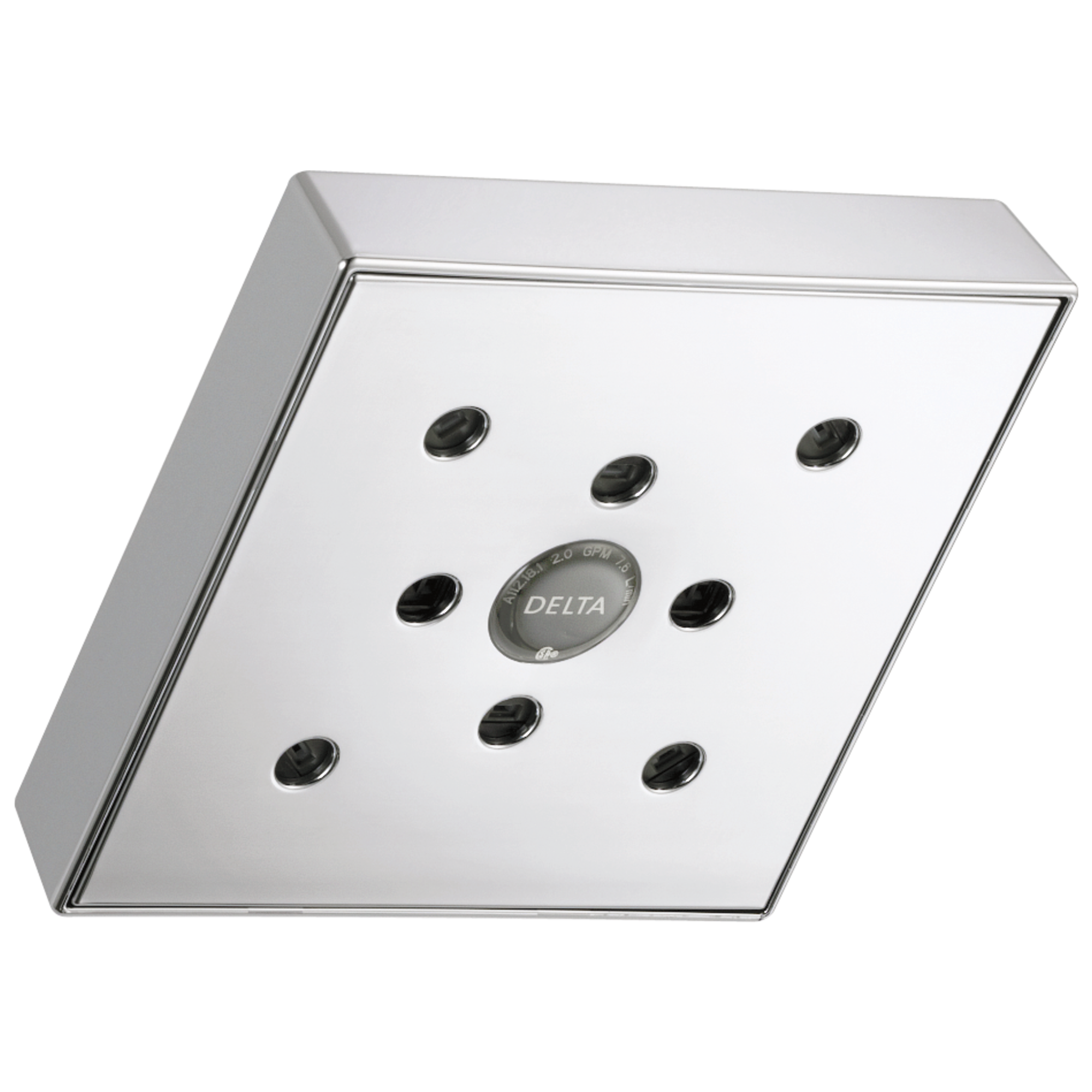 RP70171-SS15 H2Okinetic® Душевая лейка Raincan с одинарной настройкой Delta Faucet Universal Showering Нержавеющая сталь 