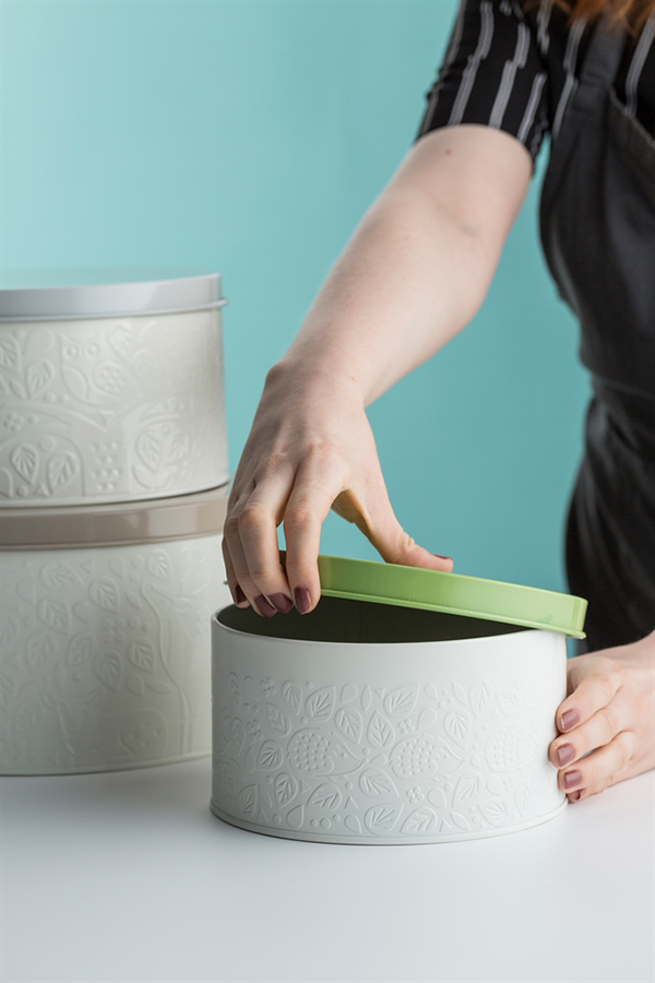 Набор емкостей для торта и пирожных In the Forest Mason Cash 2001072 - Вид №3