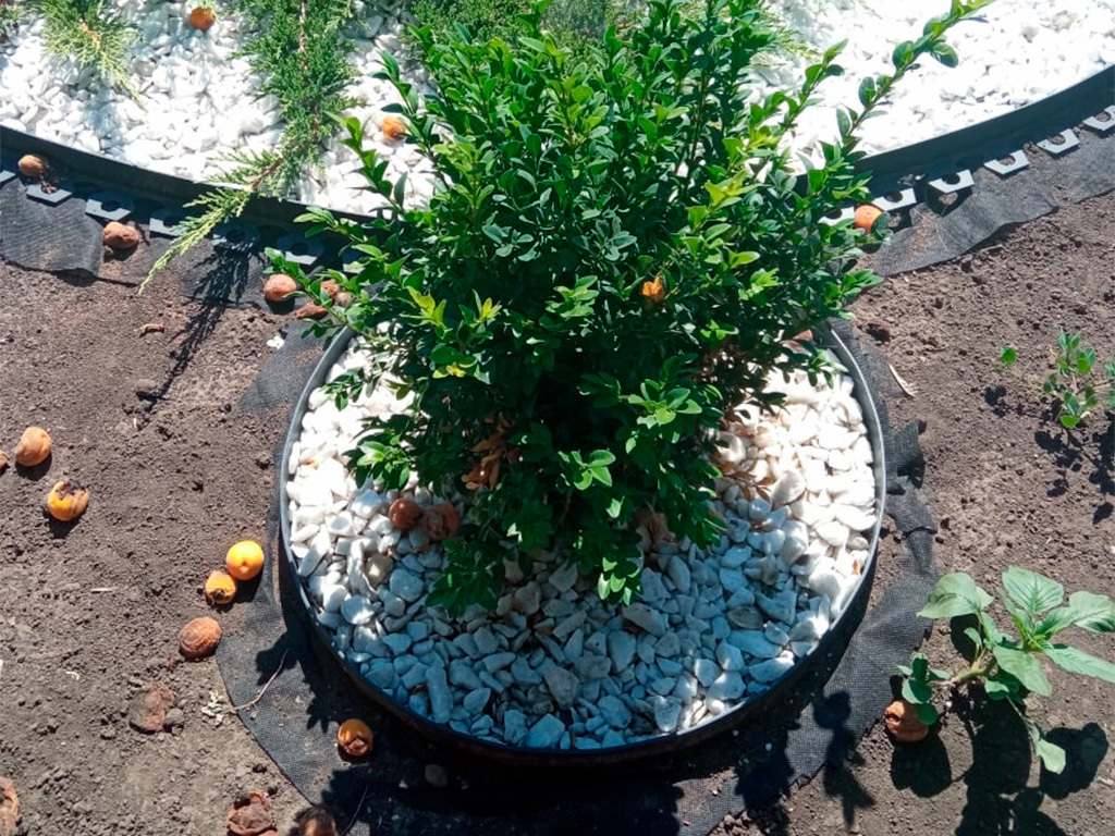 Садовый бордюр "Манго" ПП 55 мм, чёрный, 10 метров ГеоПластБорд GPBST-24 - Вид №4