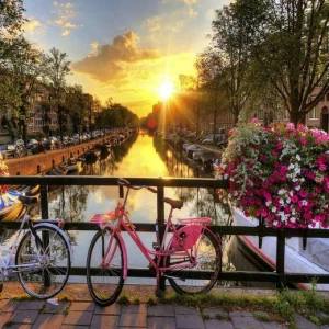 WP00469 Фотообои Verol Фотообои decoline 1х1 м