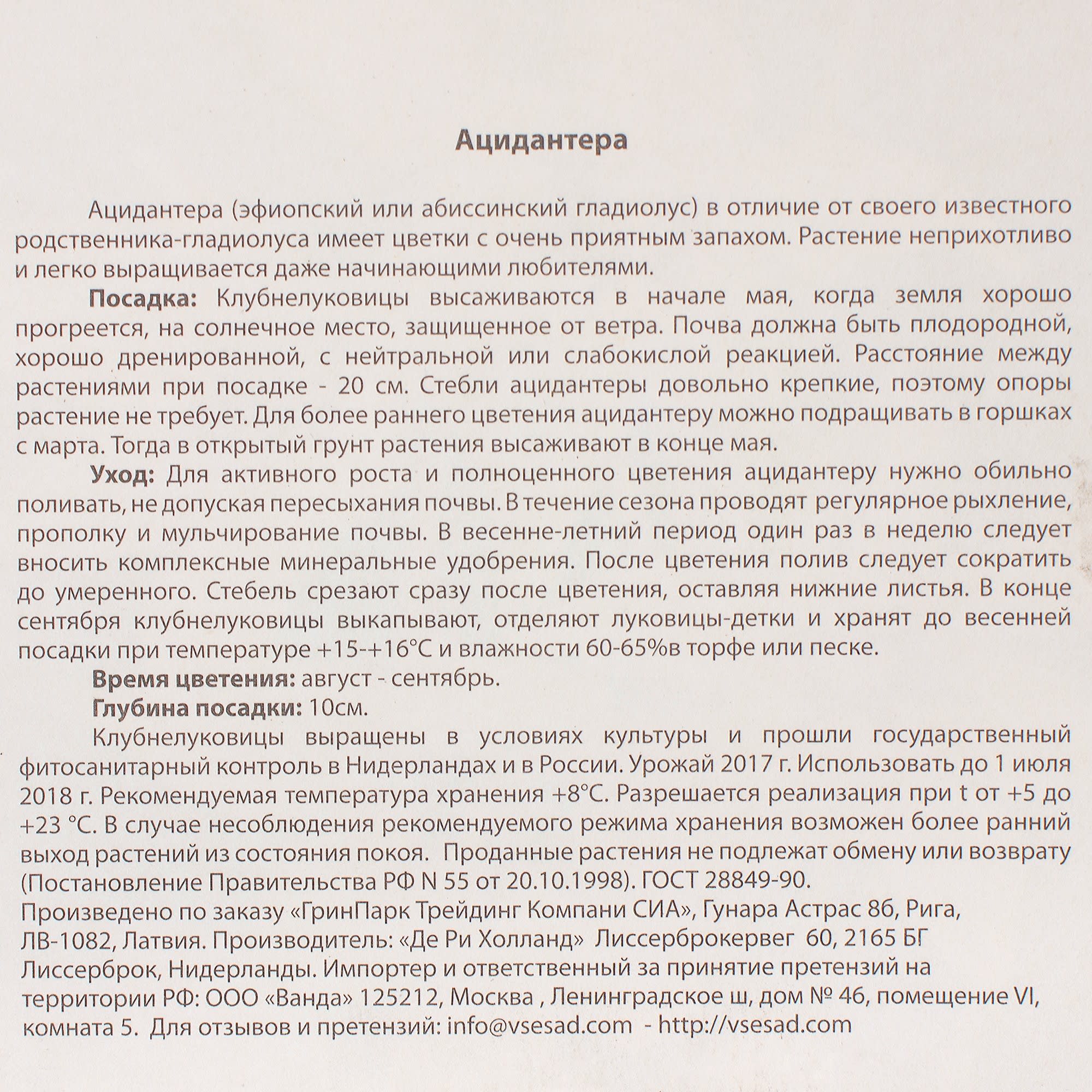 81946032 Ацидантера Santreyd  - Вид №2