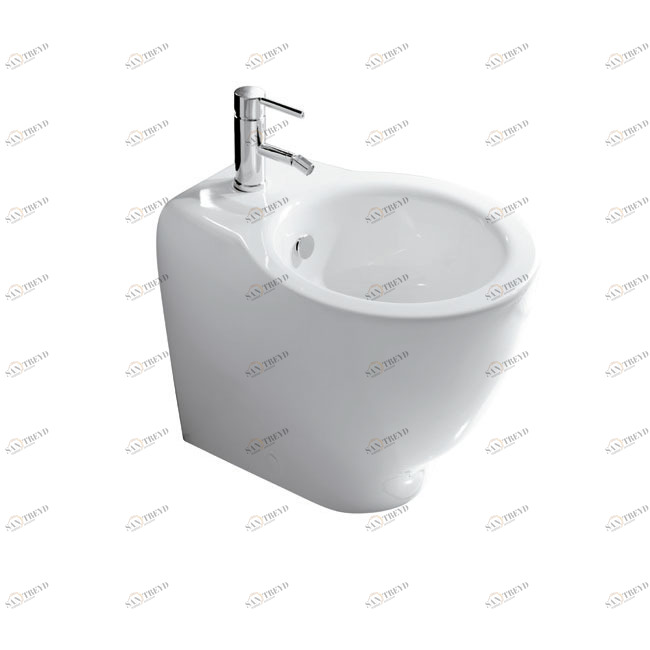 7108 Биде напольное Ergo Galassia