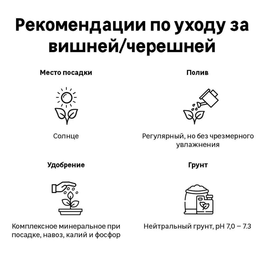 Вишня войлочная «Детская» C7 высота 140-170 см 82557730 STLM-2082130 ВСЕ В САД  - Вид №1