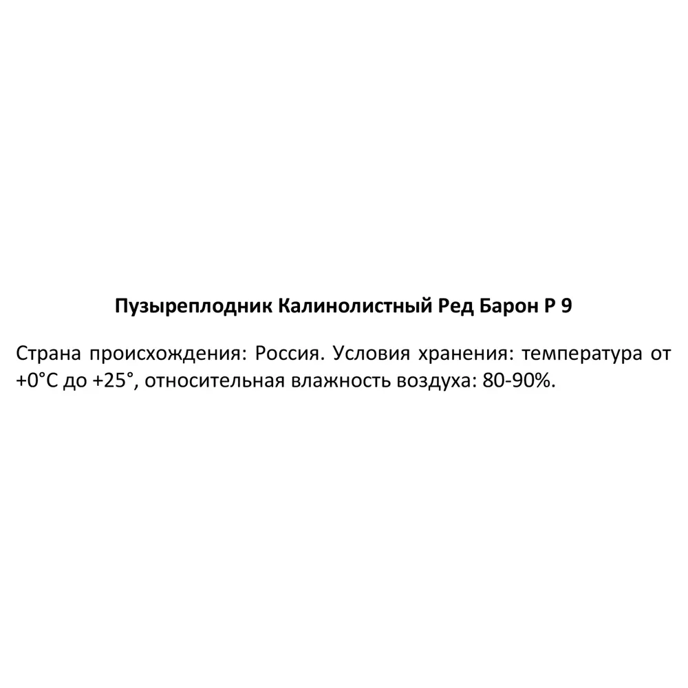 Пузыреплодник калинолистный Ред Барон ø9 h30 см 89364990 STLM-2170255 Santreyd  - Вид №3