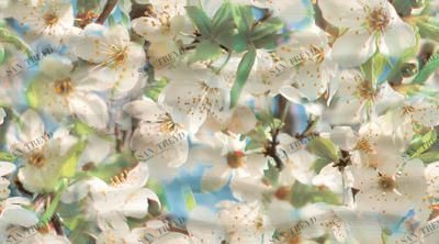 Декор Dec Spring Panno A 25х45 Ceradim sun-id-324801