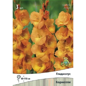 Гладиолус крупноцветковый Корнелли 3 шт.