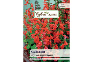 18859992 Семена Сальвия ярко-красная 025351-1Семена Первые Семена