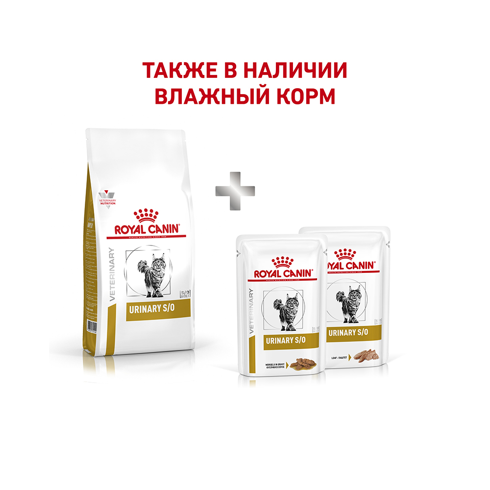 Т0023160 Корм для кошек Vet Diet Urinary S/O LP34 при мочекаменной болезни, птица сух. 1,5кг ROYAL CANIN  - Вид №5